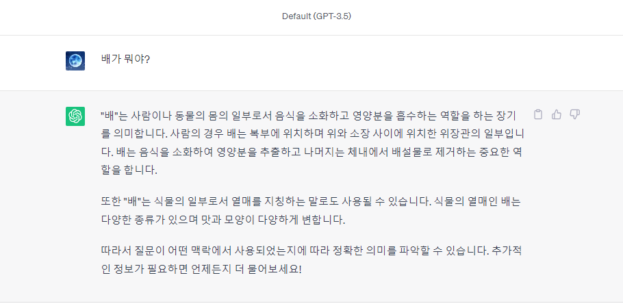 챗 GPT에 "배가 뭐야?"라는 질문을 했을 때의 답변에 관련된 이미지
