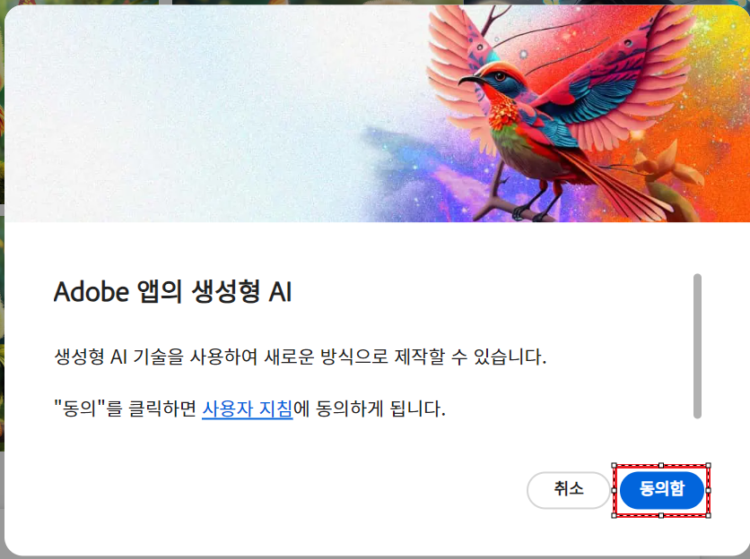 어도비 사용자 지침 동의