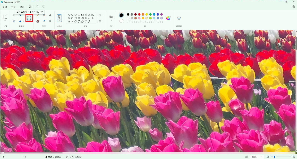 그림판 크기 조정