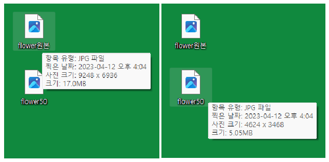 백분율 크기 조정 결과
