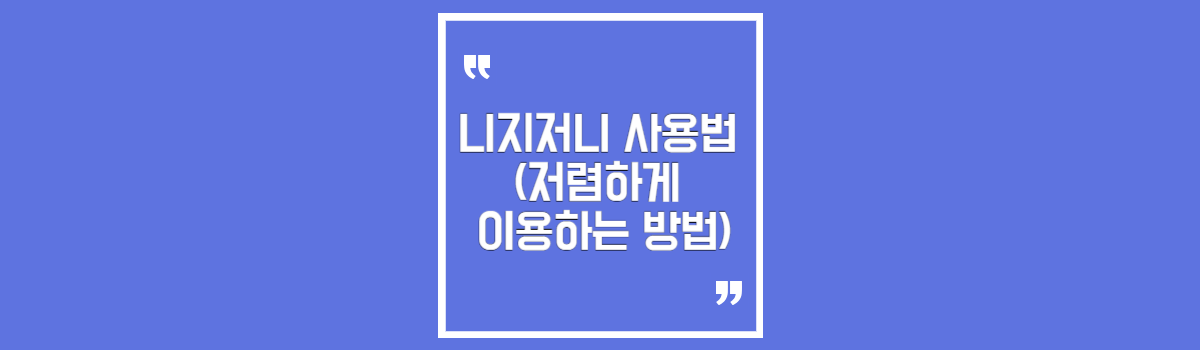 니지저니 사용법 (저렴하게 이용하는 방법) 섬네일