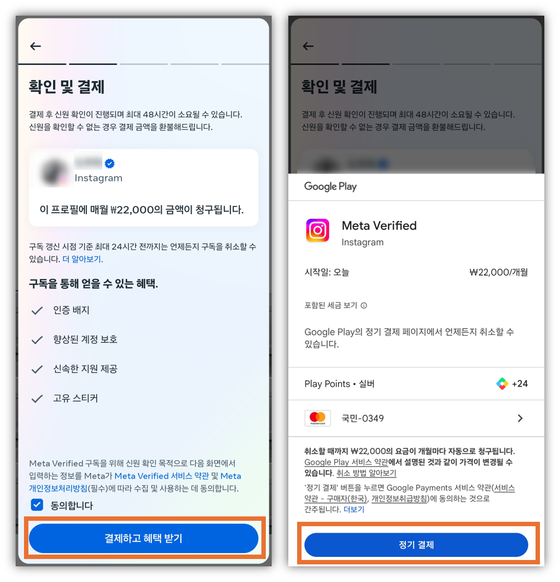 파란닥지 구독 서비스 결제