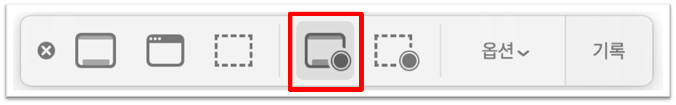 화면 녹화 옵션