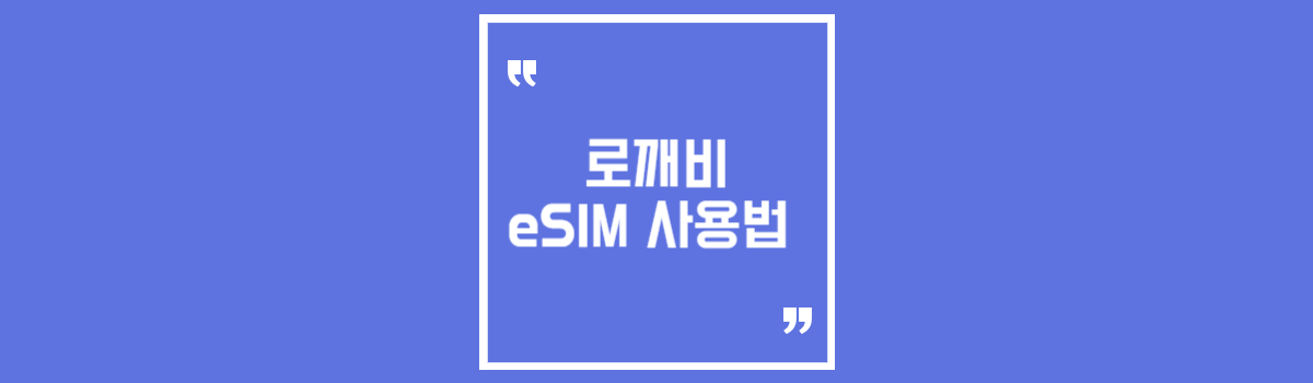 로깨비 esim 섬네일